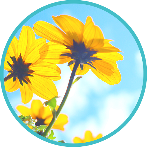 医療法人社団一路会