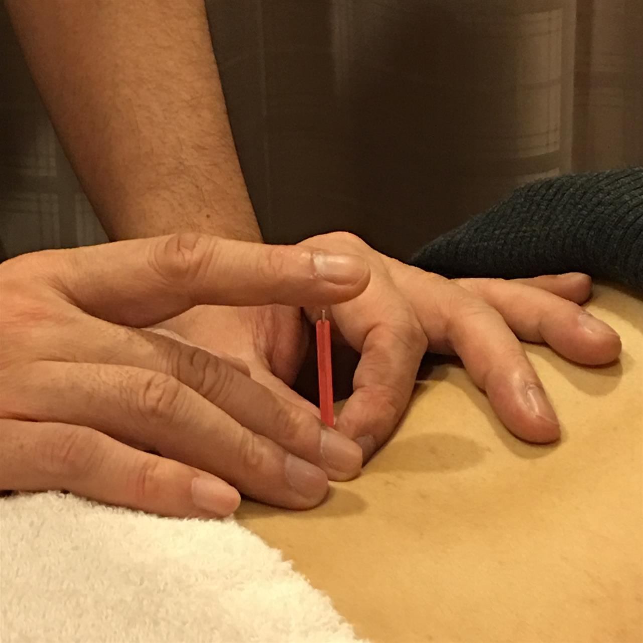 法人について_画像1