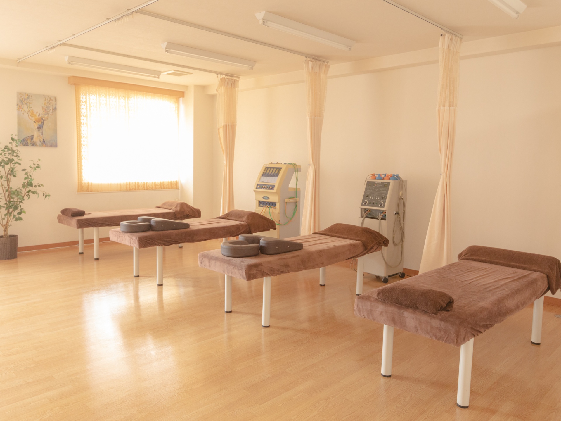 法人について_画像1