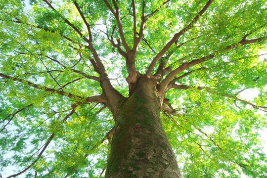 法人について_画像1