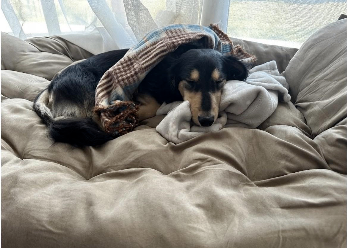 法人について_画像1